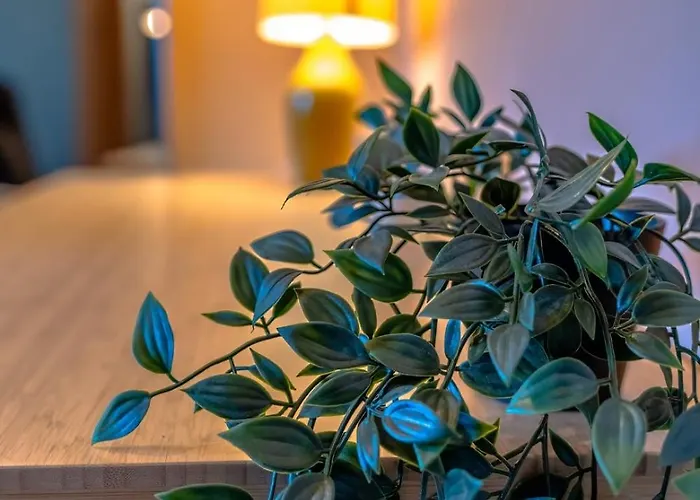 아파트 Premium Serviced Flat On Westbury High St 브리스틀